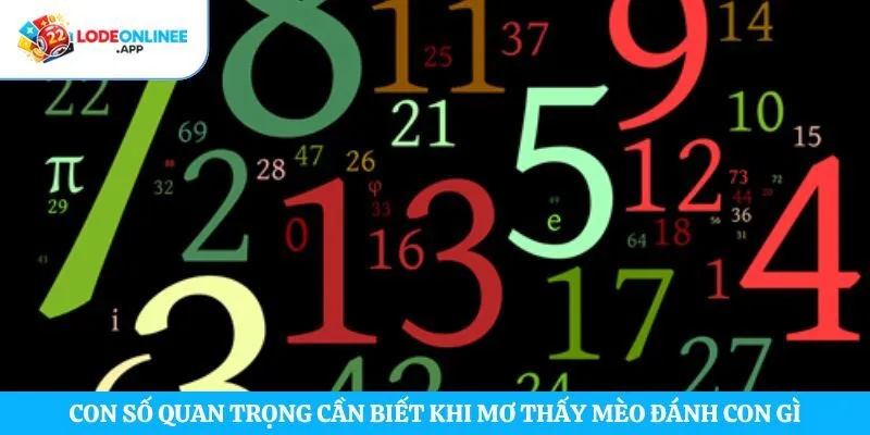 Con số quan trọng cần biết khi mơ thấy mèo đánh con gì