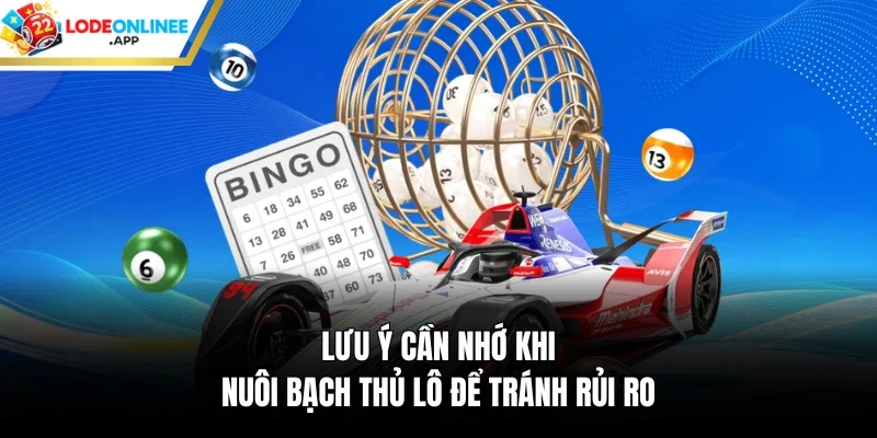 Lưu ý cần nhớ khi nuôi bạch thủ lô để tránh rủi ro