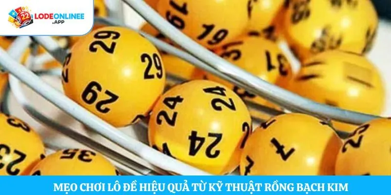 Mẹo chơi lô đề hiệu quả từ kỹ thuật rồng bạch kim  
