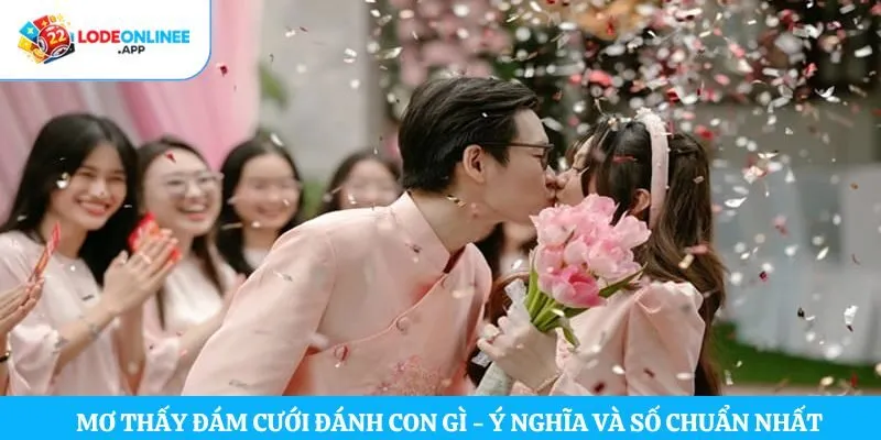 Mơ Thấy Đám Cưới Đánh Con Gì – Ý Nghĩa Và Số Chuẩn Nhất
