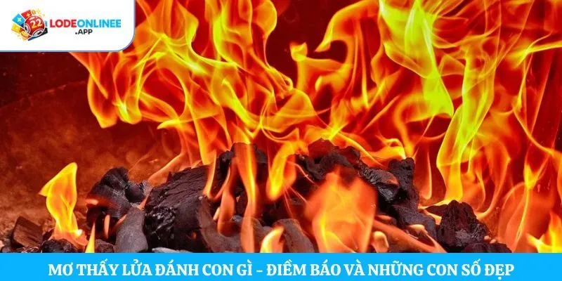 Mơ Thấy Lửa Đánh Con Gì – Điềm Báo Và Những Con Số Đẹp