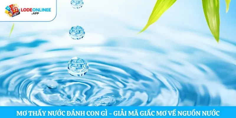 Mơ Thấy Nước Đánh Con Gì – Giải Mã Giấc Mơ Về Nguồn Nước