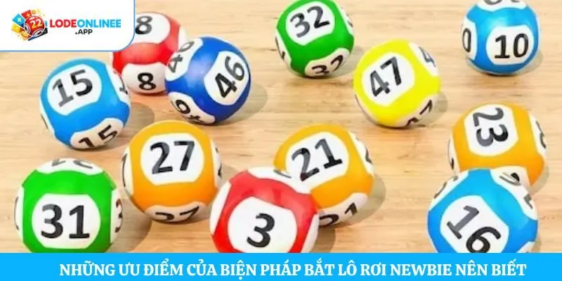 Những ưu điểm của biện pháp bắt lô rơi newbie nên biết